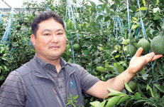 현장에서 만난 우수 농업경영인 ②강문석 한농연서귀포시연합회원