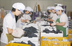 춘향애인 남원 농산물 브랜드 전략 통했다