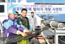 남해군, 새꼬막 종패 생산 시험양식 성공