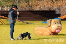 “애견인 방문 핫플레이스” 안성팜랜드 ‘파라다이스독’ 주목