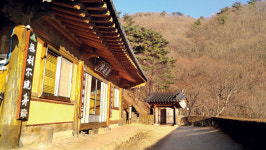 [조용섭의 지리산이야기원통암 가는 길] 통섭의 사상가 청허당을 그리다