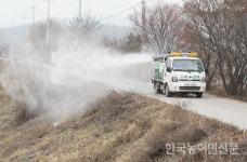고병원성 AI 오리농장에 집중, 왜?