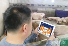 양돈장 관리, ‘스마트 피그팜’으로 척척