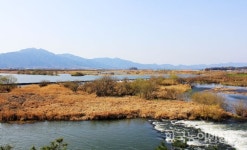 [조용섭의 지리산 이야기 <12>곡성 섬진강 이야기] 나루·정자·습지 어우러진 ‘감성의 강’ 만나다