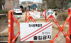 김포서 ‘A형 구제역’…방역 비상