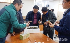 “맛·식감은 합격점…외관 자색비율은 더 높여야” 땅두릅 신품종 ‘백미향’ 평가회