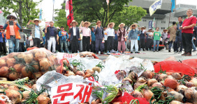 전국 단위 양파·마늘 생산자조직 결성할 것