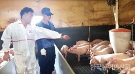 가축 고온피해예방 하절기 특별보강 서비스