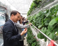 버섯재배사 방출공기 활용 ‘딸기 연중생산’