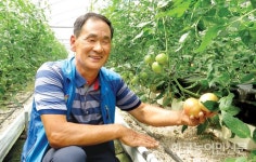현장에서 만난 우수 농업경영인 <19>친환경 토마토 ‘대성농장’ 안인상 대표