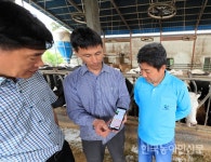 산청군, 젖소 뱃속 ‘IoT 캡슐’로 사양관리