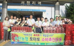 송탄농협, 방울토마토 소비촉진 앞장