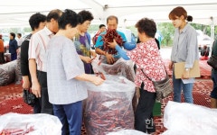 진안고원 마이산 고추시장, 10월29일까지