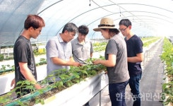 청년이 희망이다 <5>전남대 스마트팜 청년창업농 교육현장