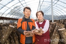 [3대를 이어온 수출농장] 경북 성주 경성표고버섯농장
