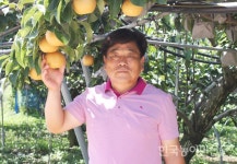 ‘고창배’ 미국 수출 15년 동안 꾸준