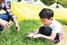 ‘메뚜기로 심리 치유’ 장성군 곤충산업 육성