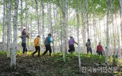 클라이밍·짚라인·트레킹…‘산림레포츠’ 제대로 즐긴다