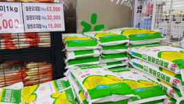올 수확기 첫 산지쌀값 20kg ‘4만8693원’