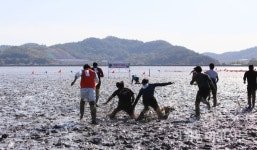 벌교 꼬막과 문학이 만나다…보성 ‘벌교꼬막축제’ 성료