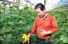 [농자재특집/식물세포 활력제 ‘셀파워’] 놀라운 작물 생산량, 품질도 최고…염류로 인한 연작피해 걱정도 뚝