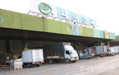 ‘대아청과’ 인수설 사모펀드에 NH투자증권 돈 대나?