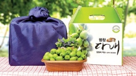 농촌, 여성농업인이 뛴다 여성농업인 성공스토리를 만든다/강원 평창 연화농원 김정숙·김은솔 대표
