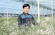장정현 ‘버든안개꽃’ 대표 철저한 토양관리가 고품질 안개꽃 비결