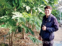 “열대과일 파파야 스마트팜 재배…억대 매출” 곡성 정재균 임마누엘 아트팜 대표