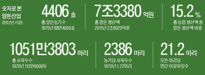 [신년특집/황금돼지해가 밝았다] 숫자로 본 양돈산업