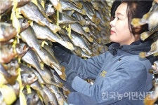 “편백숲에서 굴비 말려요”
