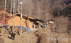 [조용섭의 지리산이야기 <21> 대성골 이야기] 빨치산 토벌작전 ‘아픔’ 서린 곳