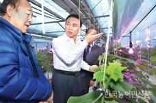 구본영 천안시장, 시설원예오이 재배현장 방문 ‘소통행정’