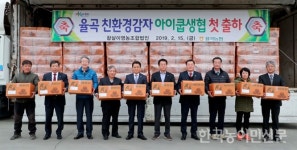 합천군 시설재배 감자 첫 출하