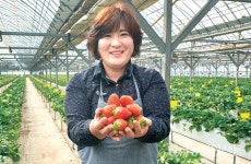 현장에서 만난 우수 농업경영인 경기 용인시 참어진 딸기농장 안성열 대표