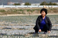 여성농업인, 지금 만나러 갑니다 <12>전남 함평 이종순 씨