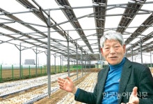 영농형태양광, 농지 훼손 우려 씻을까