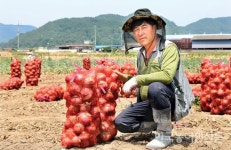 “양파 수출단가 후려치기…해도 너무해”
