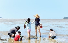 2019 고창갯벌축제, 9만4300여명 찾았다