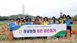농협청주시지부·청남농협 일손 돕기