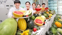 호피무늬 수박·네트 멜론 등 선봬