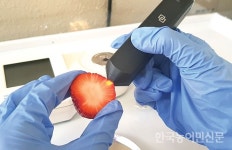 이달의 A-벤처스에 ‘스트라티오코리아’