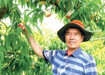 [2019 농식품 수출우수사례 <1>경산복숭아연구회] 국내외 선진농가 벤치마킹 온힘