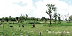 DMZ 연천 딸기·사과 단지 조성…축산물종합유통센터 추진 ‘착착’