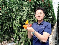 “국산 미니파프리카 13종 개발·보급 앞장”