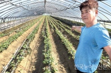 물폭탄에 하우스 침수…진흙밭에 발 들여놓기도 힘들어