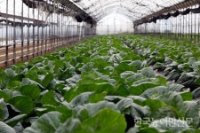 [농업·농촌의 미래, 우리는 청년여성농업인] “소농·가족농 농산물 판매 온라인 쇼핑몰 만들고 파”