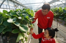 [주목 이 농장/상주 ‘우공의딸기정원’] “고품질 딸기로 세계시장 누빌 날 곧 올 것”