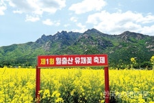 [논 타작물 단지화 현장을 가다] 활기 잃어가던 농촌의 대변신…가장 아름다운 마을로 거듭나다