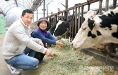 [위기의 축산업, 준비된 축산인] ‘건강한 젖소가 좋은 원유 만들어’…상위 1% 목장의 자부심